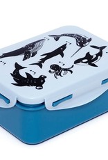 Petit Monkey Lunchbox sea animals