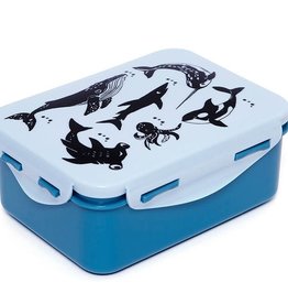 Petit Monkey Lunchbox sea animals