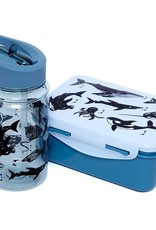 Petit Monkey Lunchbox sea animals