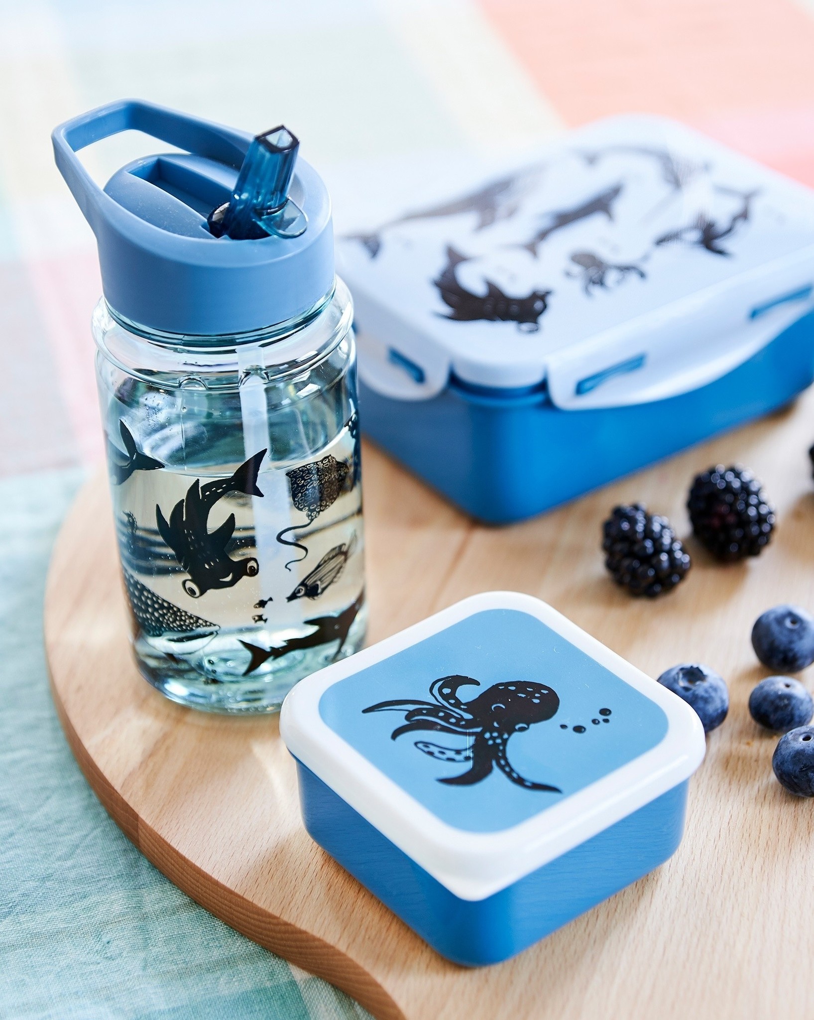 Petit Monkey Lunchbox sea animals