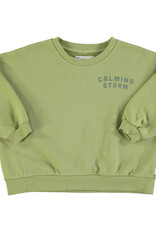 piupiuchick Sweatshirt | Sage green w/ "calming storm" print