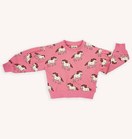 CarlijnQ Wild horse girls sweater