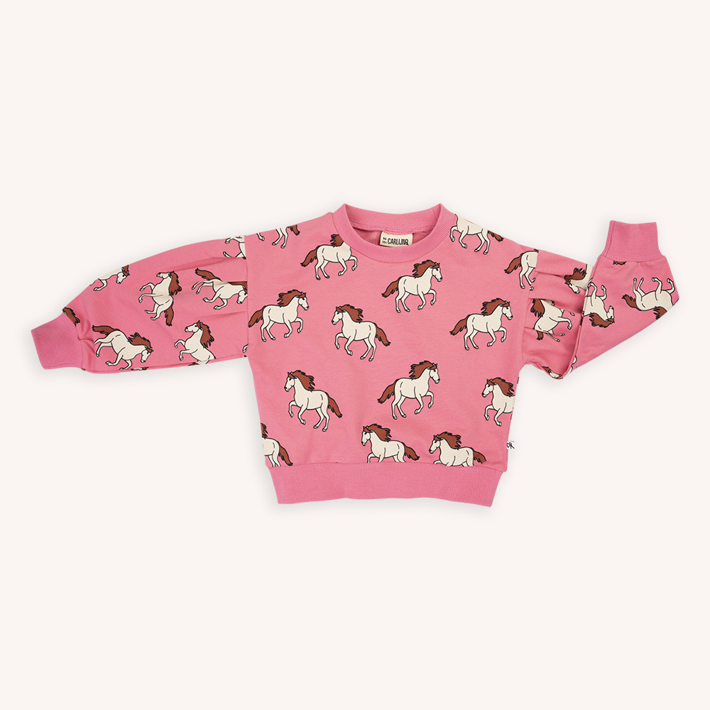 CarlijnQ Wild horse girls sweater