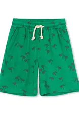 A Monday Jay Shorts | Palm Tree Print