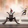 Kotobukiya Statue PVC Ant-Man et La Guêpe Artfx + échelle 1:10 de Marvel Kotobukiya Statue PVC Ant-Man et La Guêpe Artfx + échelle 1:10 de Marvel