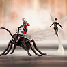 Kotobukiya Statue PVC Ant-Man et La Guêpe Artfx + échelle 1:10 de Marvel Kotobukiya Statue PVC Ant-Man et La Guêpe Artfx + échelle 1:10 de Marvel
