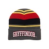 Bioworld Harry Potter beanie Bioworld Harry Potter beanie