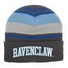 Bioworld Harry Potter beanie Bioworld Harry Potter beanie