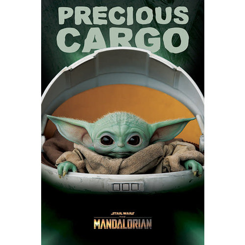 Hole In The Wall Star Wars The Mandalorian Precious Cargo Maxi Poster Hole In The Wall Star Wars The Mandalorian Precious Cargo Maxi Poster