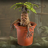 The Noble Collection Harry Potter: Magical Creatures nr. 17 - Mandrake The Noble Collection Harry Potter: Magical Creatures nr. 17 - Mandrake