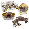 The Noble Collection Harry Potter: Chocolate Frog Prop Replica - (price per piece) The Noble Collection Harry Potter: Chocolate Frog Prop Replica - (price per piece)