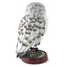 The Noble Collection Harry Potter: Hedwig 9.5 inch Resin Sculpture The Noble Collection Harry Potter: Hedwig 9.5 inch Resin Sculpture