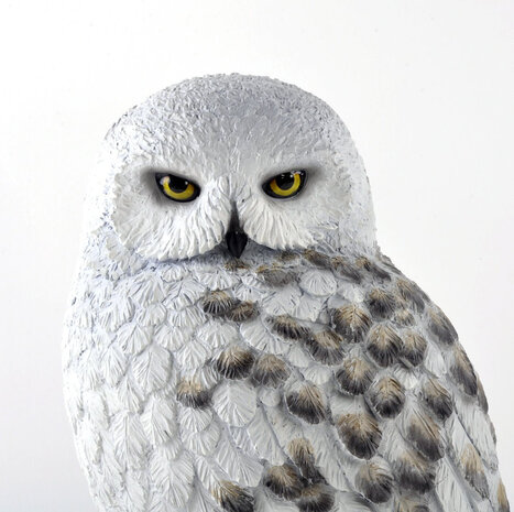 The Noble Collection Harry Potter: Hedwig 9.5 inch Resin Sculpture The Noble Collection Harry Potter: Hedwig 9.5 inch Resin Sculpture