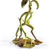 The Noble Collection Magical creatures - Bowtruckle - Fantastic Beasts figurine The Noble Collection Magical creatures - Bowtruckle - Fantastic Beasts figurine