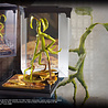 The Noble Collection Magical creatures - Bowtruckle - Fantastic Beasts figurine The Noble Collection Magical creatures - Bowtruckle - Fantastic Beasts figurine