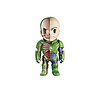 Fame Master Enterprise Ltd DC Comics: Lex Luthor X-Ray Figurine Fame Master Enterprise Ltd DC Comics: Lex Luthor X-Ray Figurine