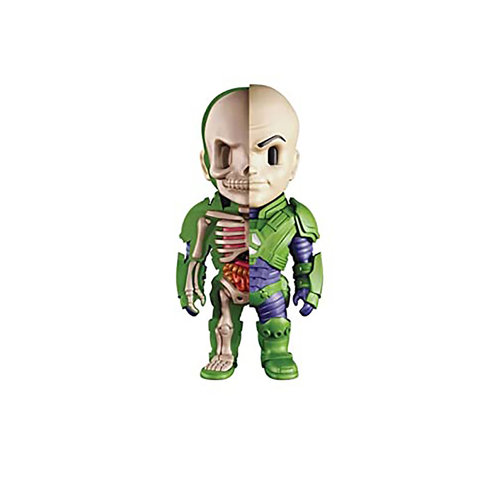 Fame Master Enterprise Ltd DC Comics: Lex Luthor X-Ray Figurine Fame Master Enterprise Ltd DC Comics: Lex Luthor X-Ray Figurine