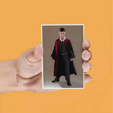SD Toys Harry Potter: Lenticular Magnet Set SD Toys Harry Potter: Lenticular Magnet Set