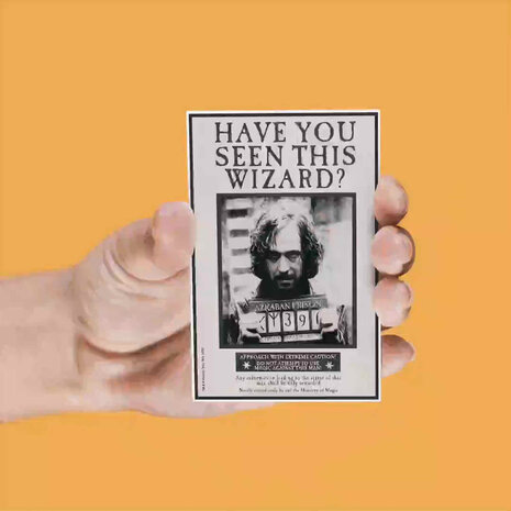 SD Toys Harry Potter: Lenticular Magnet Set SD Toys Harry Potter: Lenticular Magnet Set