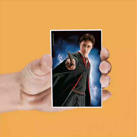 SD Toys Harry Potter: Lenticular Magnet Set SD Toys Harry Potter: Lenticular Magnet Set