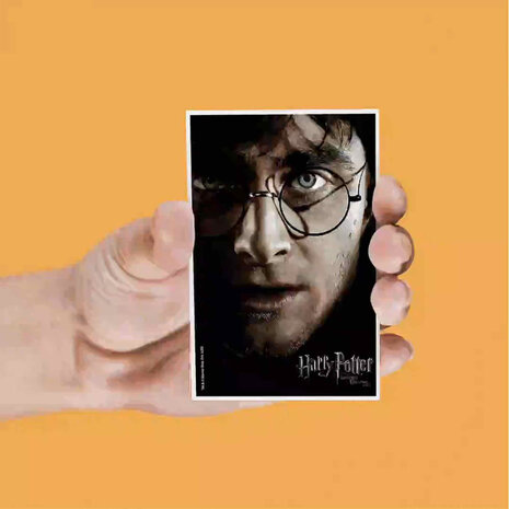 SD Toys Harry Potter: Lenticular Magnet Set SD Toys Harry Potter: Lenticular Magnet Set