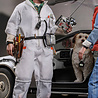 Back to the Future: Deluxe Doc Brown 1:6 Scale Figure Back to the Future: Deluxe Doc Brown 1:6 Scale Figure