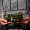Iron Studios Marvel: Loki - Alligator Loki 1:10 Scale Statue Iron Studios Marvel: Loki - Alligator Loki 1:10 Scale Statue