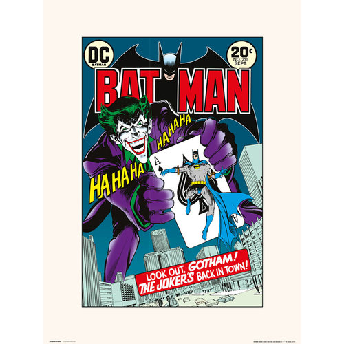 DCCOMICS DC Comics: Batman 251 Print DCCOMICS DC Comics: Batman 251 Print