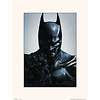DCCOMICS DC Comics: Batman Arkham Origins Print DCCOMICS DC Comics: Batman Arkham Origins Print