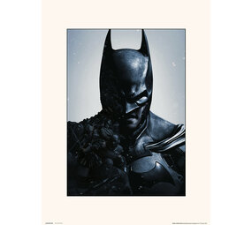 DC Comics DC Comics: Batman Arkham Origins Print DC Comics DC Comics: Batman Arkham Origins Print