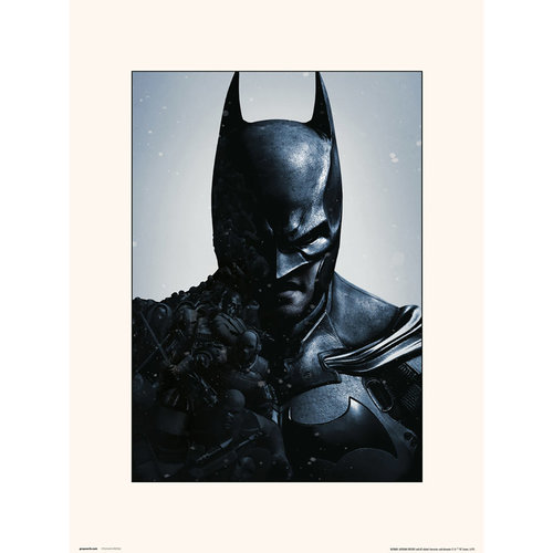 DCCOMICS DC Comics: Batman Arkham Origins Print DCCOMICS DC Comics: Batman Arkham Origins Print