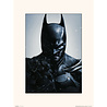 DC Comics DC Comics: Batman Arkham Origins Print DC Comics DC Comics: Batman Arkham Origins Print