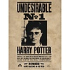 Harry Potter Undesirable nº1 30X40cm Art Print Harry Potter Undesirable nº1 30X40cm Art Print