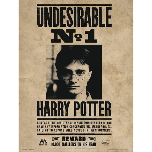 Harry Potter Undesirable nº1 30X40cm Art Print Harry Potter Undesirable nº1 30X40cm Art Print