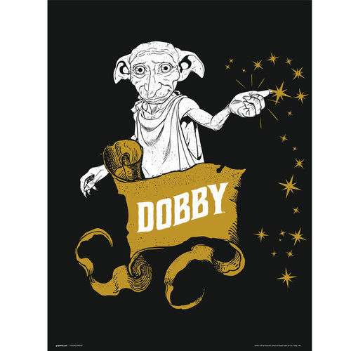 Harry Potter: Art Print 30x40 Cm - Dobby Harry Potter: Art Print 30x40 Cm - Dobby