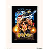 Art Print HARRY POTTER 30X40 Cm And The Sorcerers Stone Art Print HARRY POTTER 30X40 Cm And The Sorcerers Stone