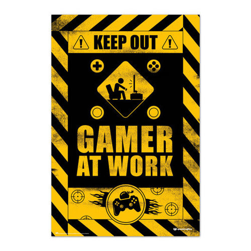 gameration Poster: Gamer at Work gameration Poster: Gamer at Work