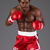 Pop Culture Shock Collectibles Rocky 2: Apollo Creed 1:3 Scale Statue Pop Culture Shock Collectibles Rocky 2: Apollo Creed 1:3 Scale Statue