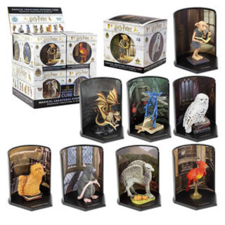 Blind Box