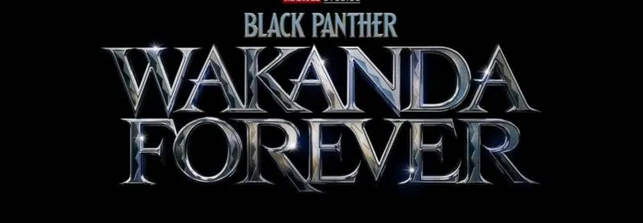 Wakanda Forever After Wakanda Forever After