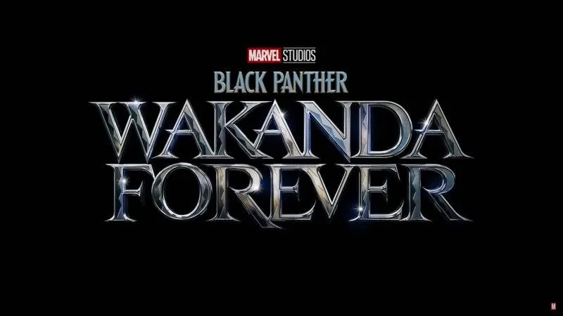 Wakanda Forever After
