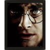 Pyramid International Harry Potter: Harry Potter vs Voldemort - Framed 3D Poster Pyramid International Harry Potter: Harry Potter vs Voldemort - Framed 3D Poster