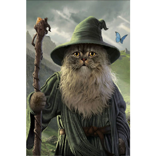 Pyramid International Lord of The Rings: Catdalf - Maxi Poster Pyramid International Lord of The Rings: Catdalf - Maxi Poster