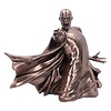 Nemesis Now Harry Potter: Voldemort Avada Kedavra Bronze Bust Nemesis Now Harry Potter: Voldemort Avada Kedavra Bronze Bust