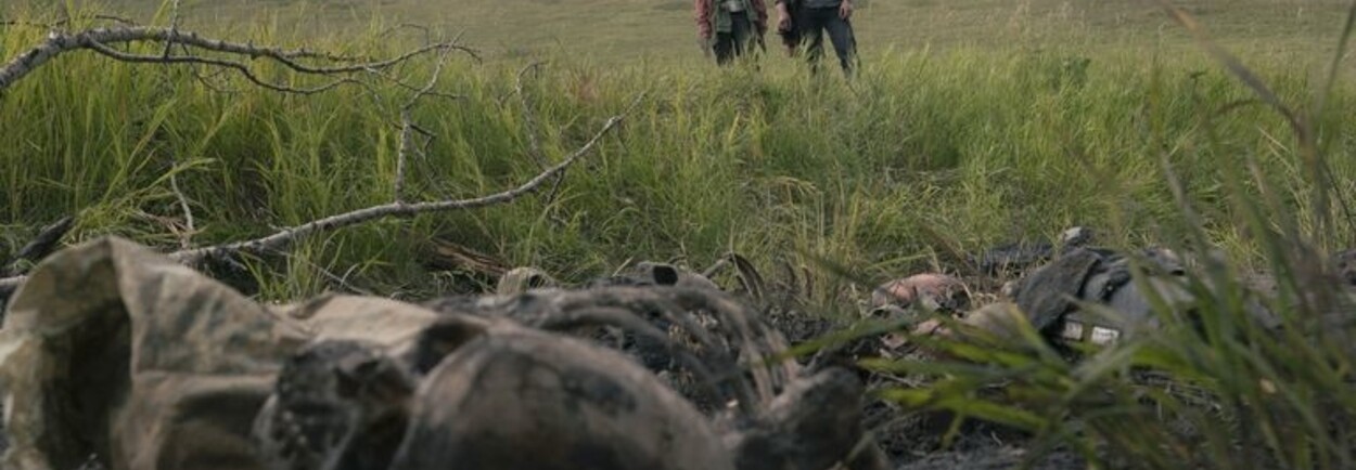 The Last of Us Seizoen 2 wat we al weten. The Last of Us Seizoen 2 wat we al weten.