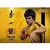 Blitzway Bruce Lee: 50th Anniversary Bruce Lee 1:4 Scale Tribute Statue Blitzway Bruce Lee: 50th Anniversary Bruce Lee 1:4 Scale Tribute Statue