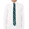 Cinereplicas Harry Potter: Slytherin Woven Kids Necktie Cinereplicas Harry Potter: Slytherin Woven Kids Necktie