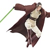Hasbro Star Wars: The Acolyte - Jedi Master Indara - Black Series Action Figure Hasbro Star Wars: The Acolyte - Jedi Master Indara - Black Series Action Figure