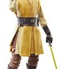 Hasbro Star Wars: The Acolyte - Jedi Knight Yord Fandar - Black Series Action Figure Hasbro Star Wars: The Acolyte - Jedi Knight Yord Fandar - Black Series Action Figure