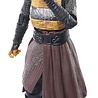 Hasbro Star Wars: The Acolyte - Mae (Assassin) - Black Series Action Figure Hasbro Star Wars: The Acolyte - Mae (Assassin) - Black Series Action Figure